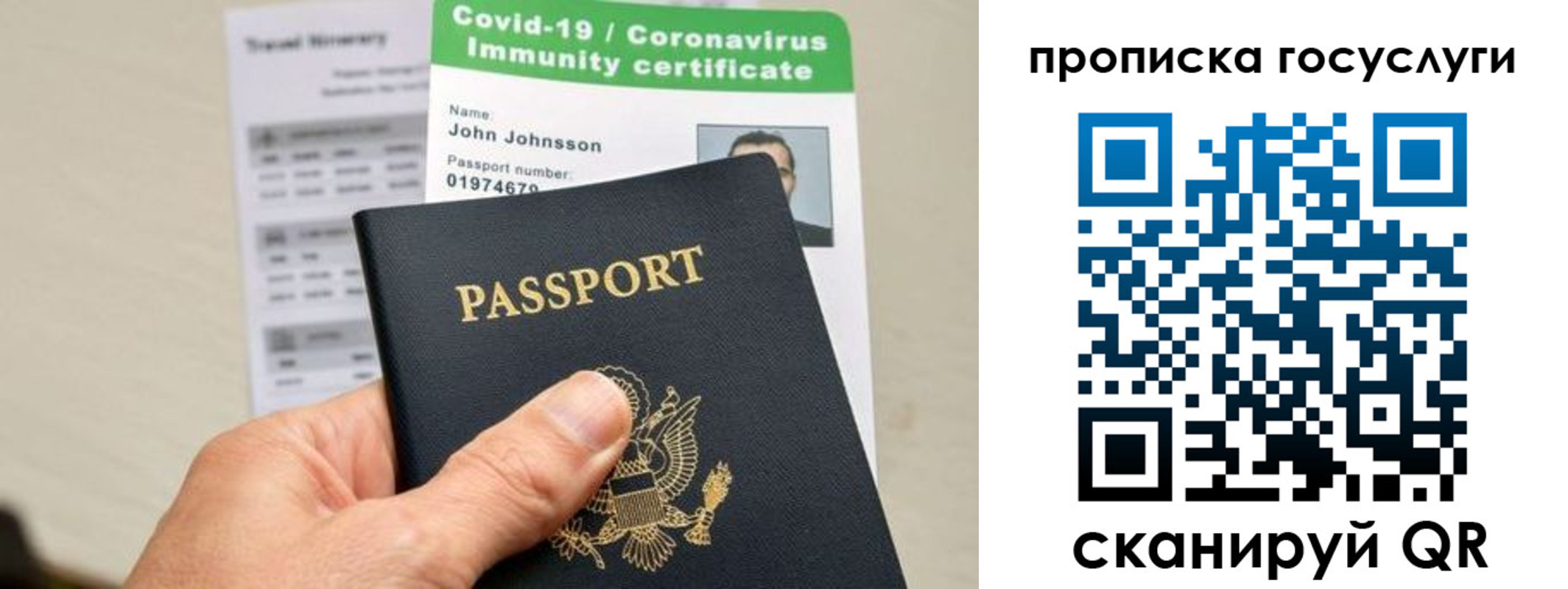 прописка для школы в Ярославле